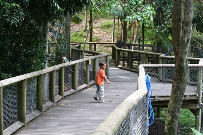 Family Fun at David Fleay Wildlife Park