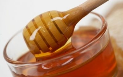 Visit Superbee Honeyworld