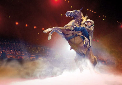 Discover the Australian Outback Spectacular