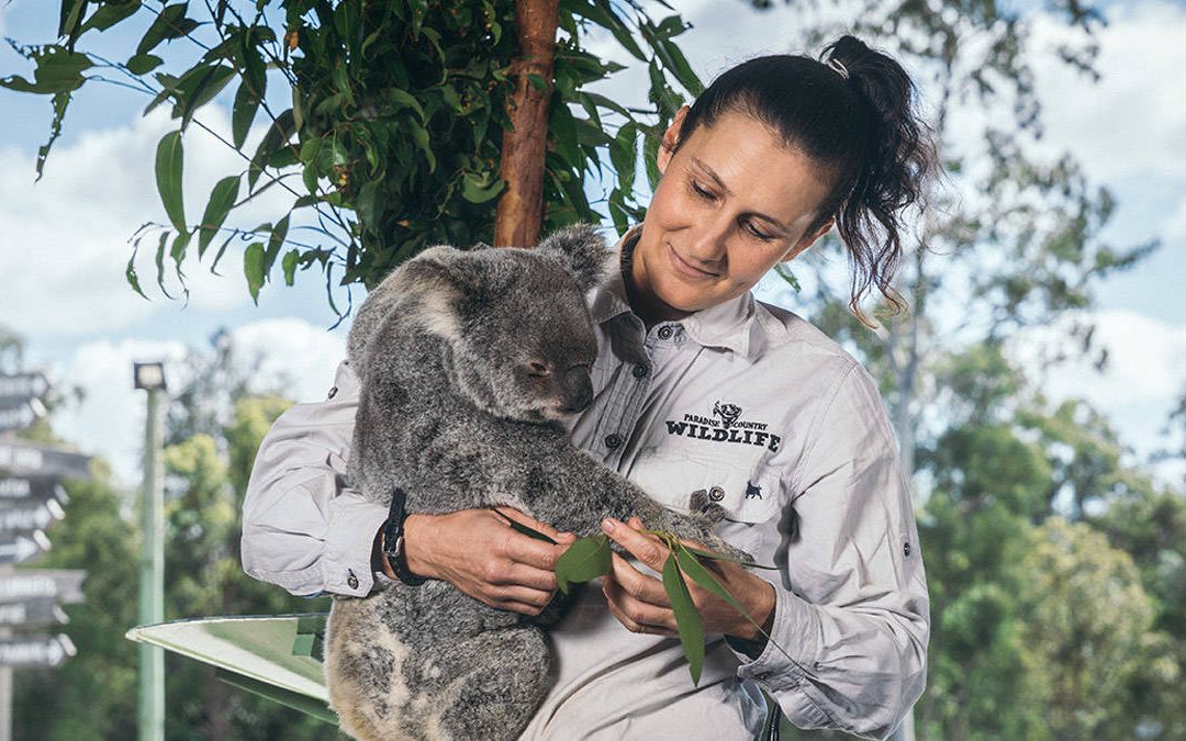 Animal Encounter at Paradise Country